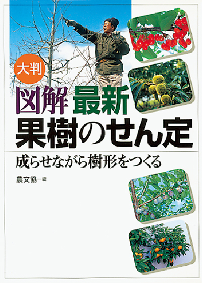 図解 最新 果樹のせん定　表紙