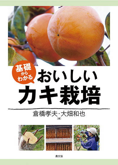 基礎からわかる おいしいカキ栽培　表紙